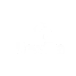 New Era Logo